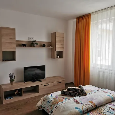 Apartament Asr Piatra Neamt Exterior photo