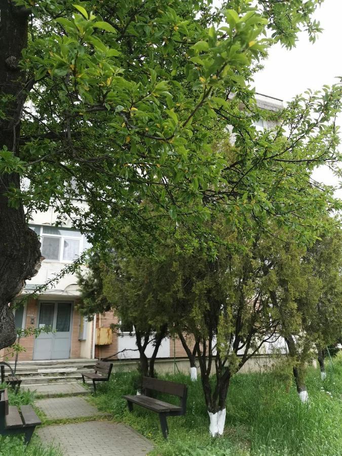 Apartment Asr Piatra Neamt